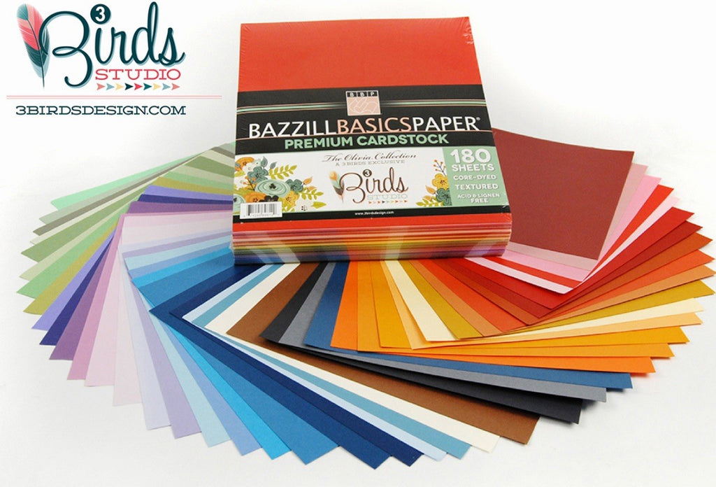 RARE SEALED 2014 3Birds & Bazzill Collab 180 Pg Cardstock Set Olivia Collection