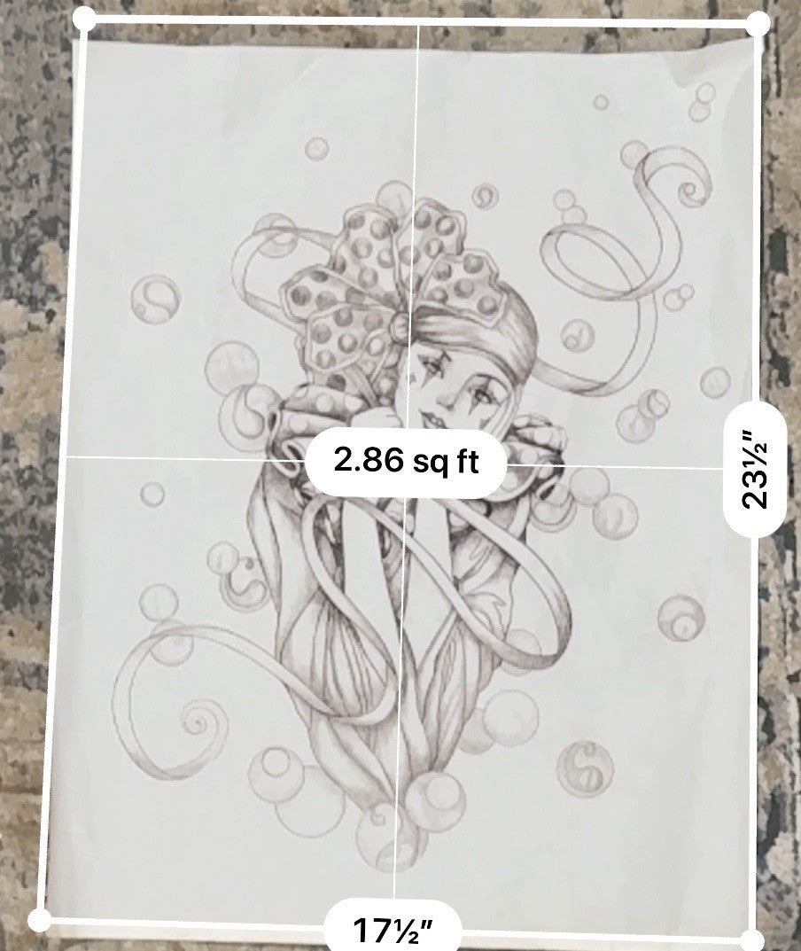 VTG Tri-Chem Paint A Picture 2641 “Mardi Gras” Transfer 18x24