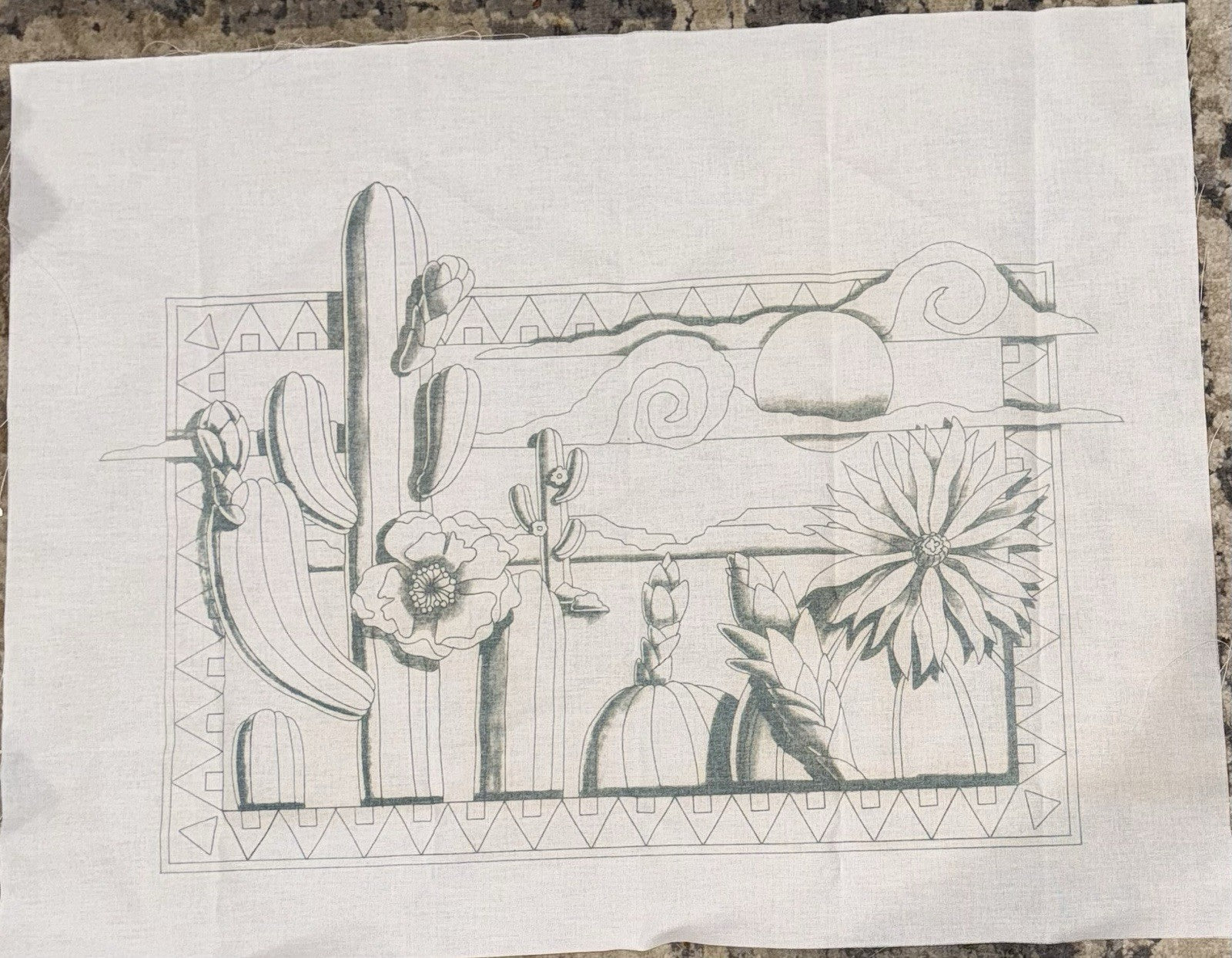 VTG Tri-Chem Paint A Picture 7102 “Southwest Picture” 18x24 Cactus Arizona